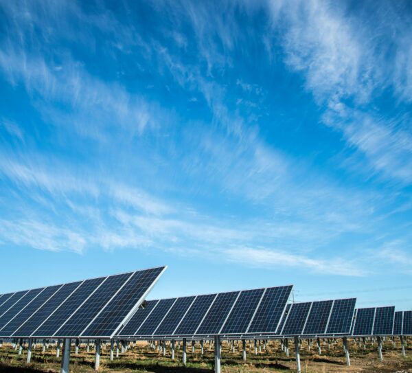 Energia solare in crescita: per la prima volta le rinnovabili superano il carbone nel mondo